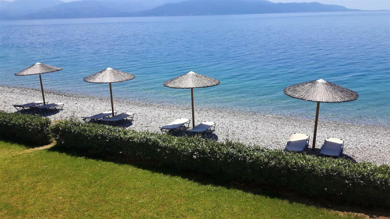 Villa Thalassa Paralia Sergoulas Exteriör bild