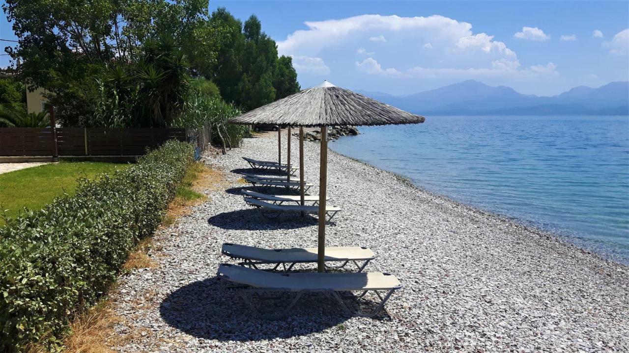 Villa Thalassa Paralia Sergoulas Exteriör bild